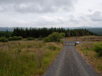 Randonnée A pied  - Dungonnell Way - Photo