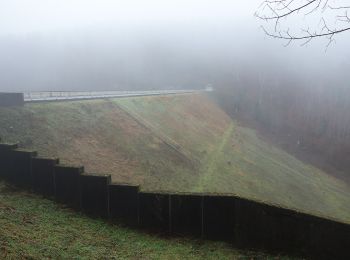 Tocht Te voet Simmerath - Trevvel-Route - Photo