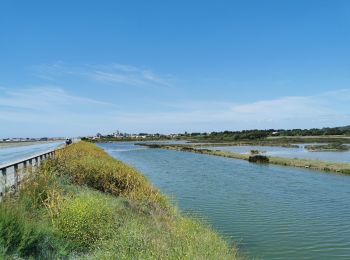 Trail Hybrid bike La Guérinière - Noirmoutier le Tour de l'île  - Photo