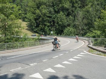 Excursión A pie Wädenswil - Shilsprung-Finsterseehalden - Photo