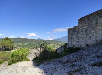 Tour Wandern Vaison-la-Romaine - Vaison la romaine - Photo