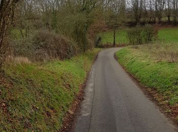 Tour Wandern Sargé-lès-le-Mans - Autour de Sargé - Photo