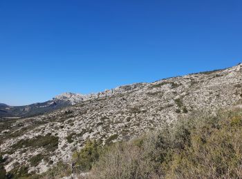 Trail Walking Puyloubier - 2023-02-03 Sainte Victoire - Le Pic des Mouches - Photo