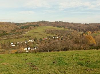 Tour Zu Fuß Bad Schwalbach - Fischbach - Ramschied - Photo