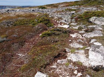 Tour Wandern Saint-Pierre - vers repieds - Photo