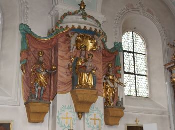 Tour Zu Fuß Neunkirchen a. Sand - Neunkirchen am Sand Rundwanderweg Blau 3 - Photo