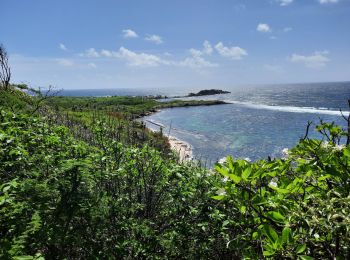 Percorso Marcia Sainte-Anne - Quartier ferré vers Cap Chevalier avec modification du parcours en cas de problème à Anse aux bois !  - Photo