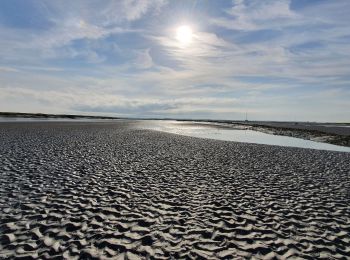 Randonnée Marche Saint-Valery-sur-Somme - Traversée Baie de Somme - St Valery - Le Crotoy - Photo