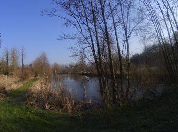 Randonnée V.T.T. Lasne - VTT de Maransart à Ottignies. - Photo