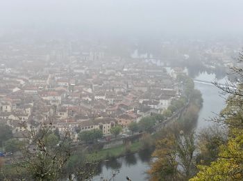 Excursión Senderismo Cahors - Côte des ânes mont st cyr st george  - Photo