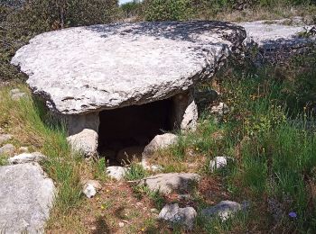 Excursión Senderismo Banne - Dolmens - Photo