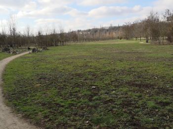 Tocht Stappen Saintry-sur-Seine - saintry - Photo