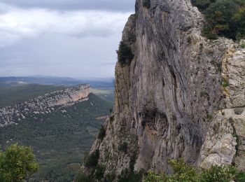 Excursión Senderismo Saint-Mathieu-de-Tréviers - Tour du Pic St-Loup depuis St-Mathieu - Photo