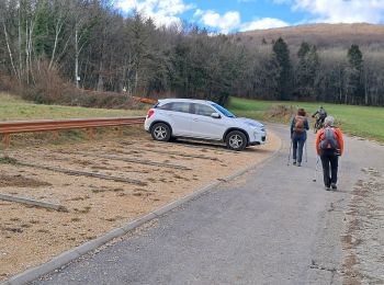 Percorso Marcia Droisy - MONTAGNE DES PRINCES: DROISY - PASSAGE SUD SOUS LES FALAISES - Photo