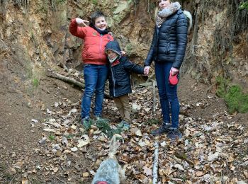 Randonnée Marche Steinbach - Mines silberthal / streinbach  - Photo