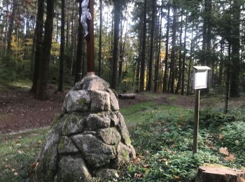 Tour Wandern Dambach - Bernstein ortenbourg Falkenstein  - Photo