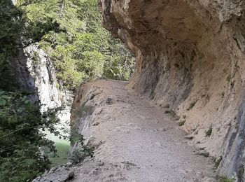 Randonnée Marche Estoublon - TREVANS,  Chateau de Trevans,  les Beluguettes. Cotes Chaudes , Belvédère des  Gorges  , Turquet ,o quet  - Photo