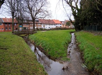 Tocht Te voet Kneitlingen - Eulenspiegel Wanderweg - Photo