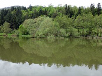 Trail On foot Saint-Thibaud-de-Couz - Lac de Pisserotte - Photo