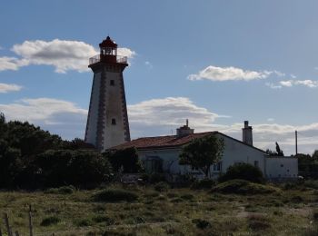 Trail Mountain bike Leucate - Phare Leucate - Photo