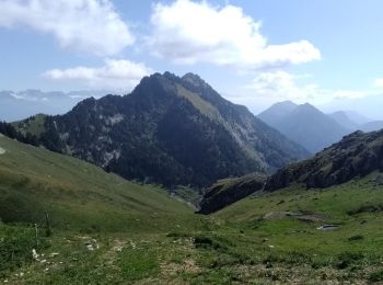 Excursión Senderismo Aillon-le-Jeune - Rochers de  Barde - Photo