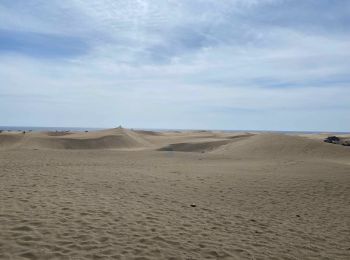 Trail Walking San Bartolomé de Tirajana - Les dunes de Maspalomas (Gran Canaria) - Photo