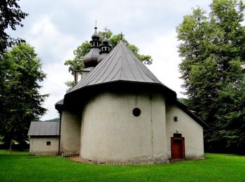 Randonnée A pied Dąbrowa - Szlak spacerowy wschodni - Photo