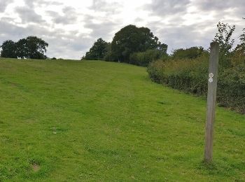 Tocht Te voet Wyre Forest - Habberley Valley Circular Walk - Photo