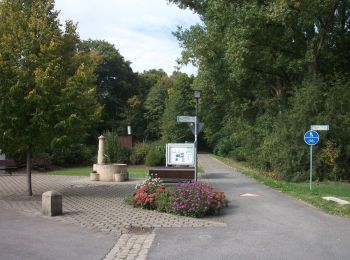 Tour Zu Fuß Maroldsweisach - Rundwanderweg Uhu Marbach - Photo