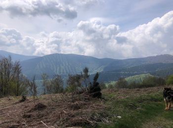 Trail Walking Montagagne - Col d’Uscla -boucle vers col des Marrous - Photo