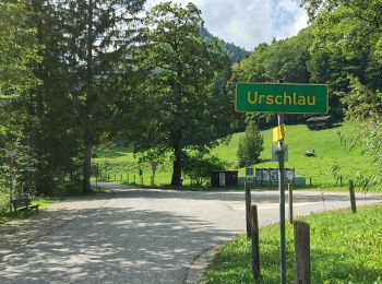 Tour Zu Fuß Ruhpolding - Rundweg Gründberg - Photo