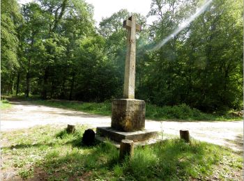 Randonnée A pied Pont-Sainte-Maxence - 1ere Balade 11 mai 2020 - Photo