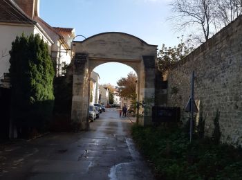 Tour Wandern Saint-Germain-en-Laye - Promenade en automne - Photo