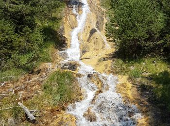 Percorso Marcia Hautecour - Forêt des Gollards - Photo