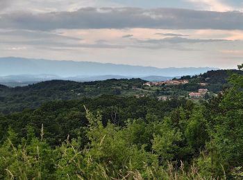 Trail On foot Triest - IT-43 - Photo