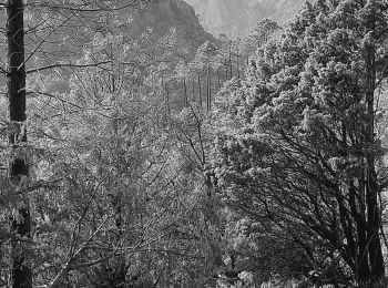 Randonnée Marche Solaro - rando aller et retour vers Bavella - Photo