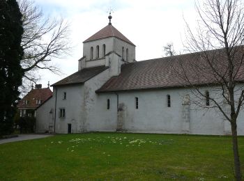 Tocht Te voet La Rippe - Bonmont-Nyon Gare - Photo