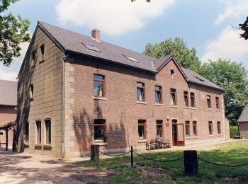 Tour Zu Fuß Kinrooi - Stamprooierbroek Groene rechthoek - Photo