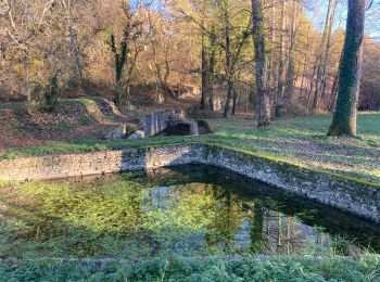 Tocht Stappen Labastide-Marnhac - Cluzel 3 - Photo