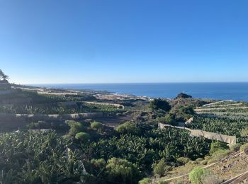 Randonnée Marche Santiago del Teide - Puerto de Santiago et chemin de Compostel  - Photo