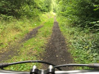 Tour Hybrid-Bike Florennes - Florennes-Bois de Fraire- St Aubin-Florennes - Photo