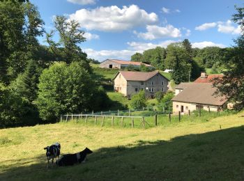 Tocht Paardrijden Fougerolles-Saint-Valbert - Moulin taquere 7kms - Photo