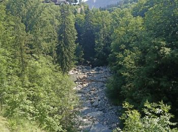 Tocht Wegfiets Saint-Alban-des-Villards - col du Glandon et de la croix de fer en boucle  - Photo