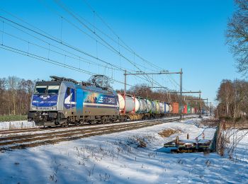 Tour Zu Fuß Hengelo - Rondje Hengelo - Photo