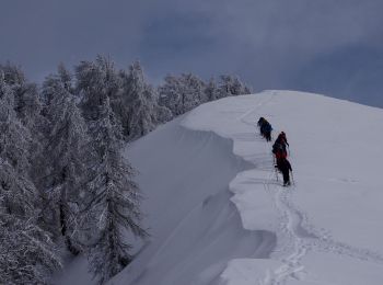 Randonnée Raquettes à neige La Bollène-Vésubie - Col de Turini a la pointe des 3 communes - Photo