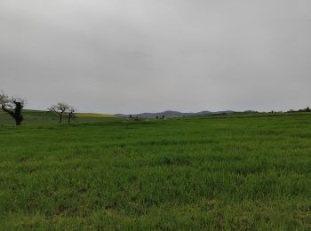 Randonnée Marche Vindry-sur-Turdine - Autour de Saint loup  - Photo