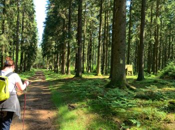 Tocht Stappen Libin - Smuid - Promenade de Smuid - Photo