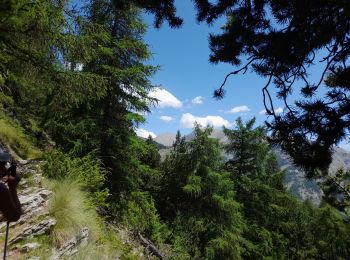 Randonnée Marche Allos - Allos:rando à partir de la Haute Colette - Photo