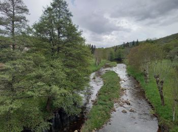 Tour Wandern Pied-de-Borne - GRP Tour du Chassezac en 2 jours - Photo