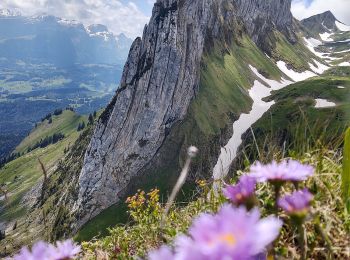 Tocht Te voet Sennwald - Staubern - Saxerlücke - Photo